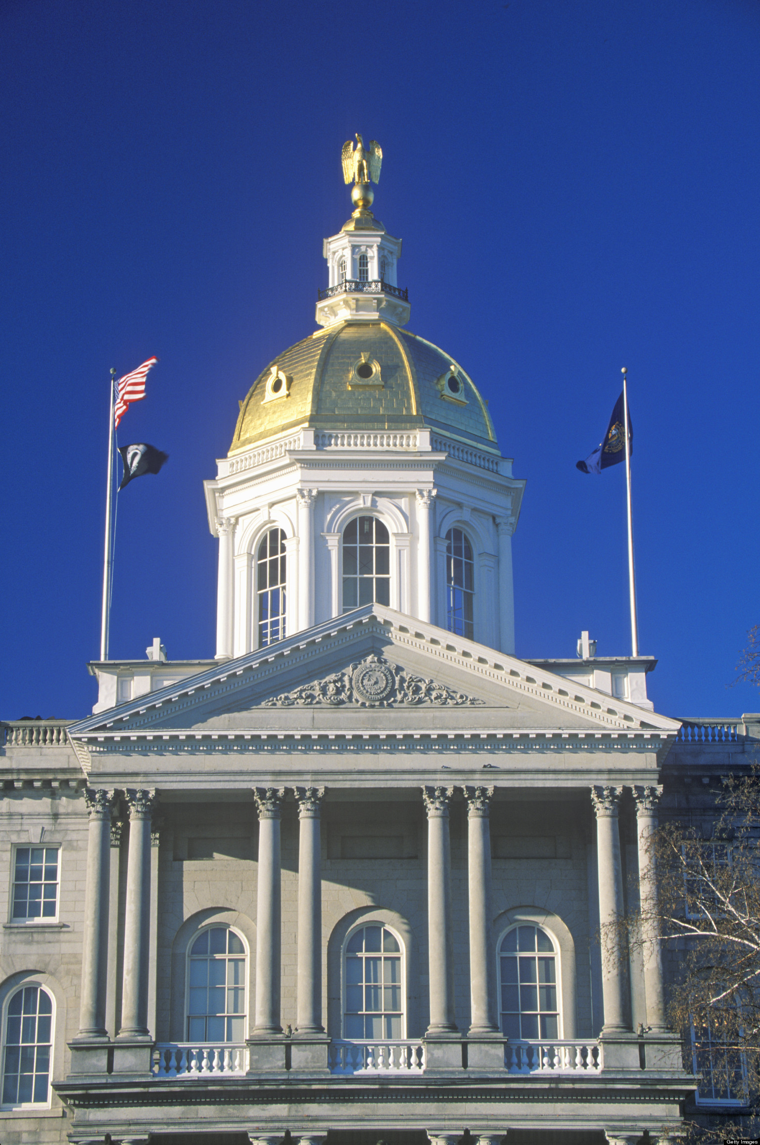 Stella Tremblay, New Hampshire Legislator, Says U.S. Government Planned ...