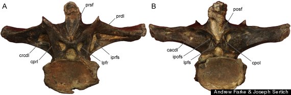 madagascar dinosaur