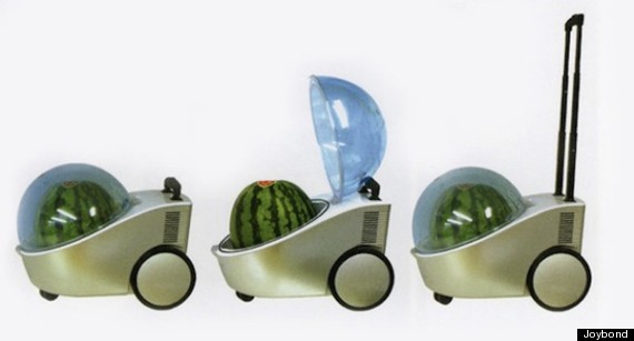 watermelon stroller