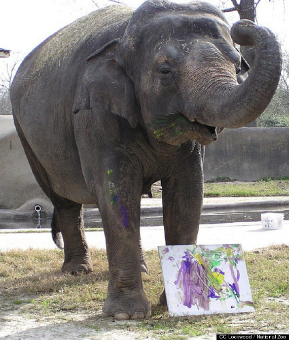 bozie national zoo