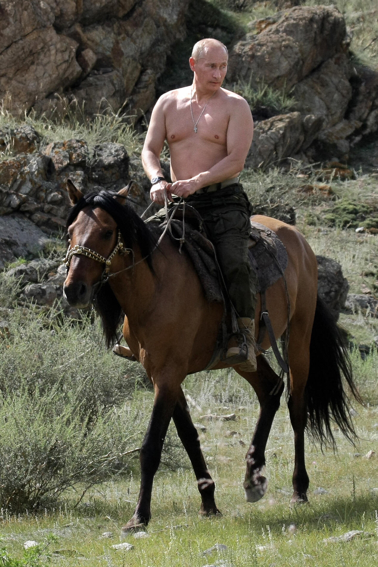 World Photo Caption Contest: Shirtless Vladimir Putin On A Horse | HuffPost  null