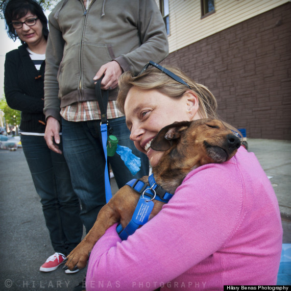 rescued dachshund hug