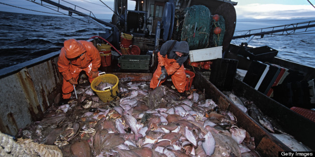 Climate Change Impacts Ripple Through Fishing Industry While Ocean ...