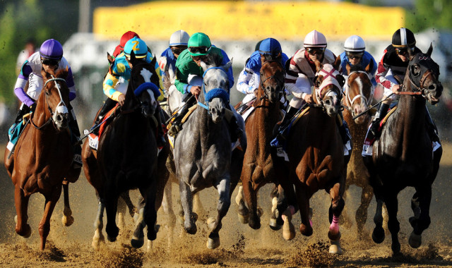 preakness celebrities 2013