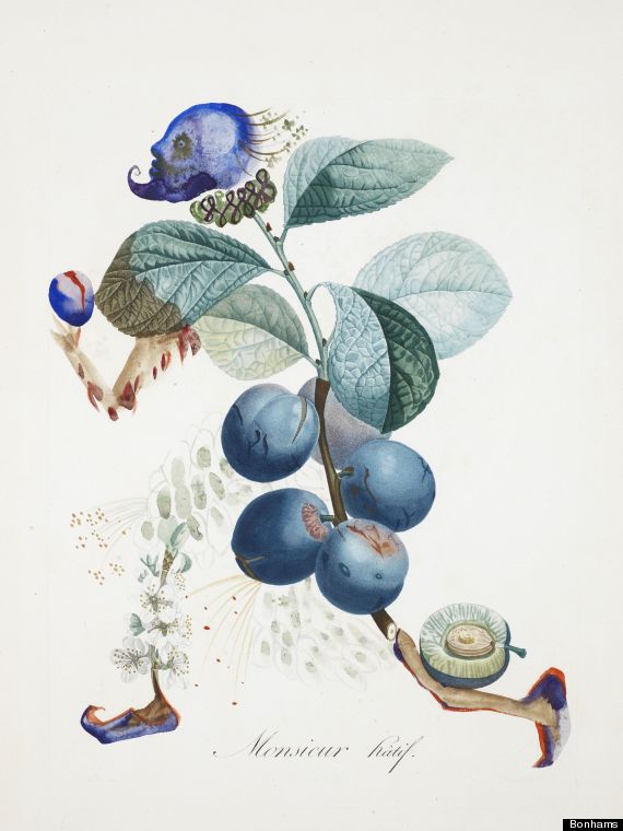 dali botanical art