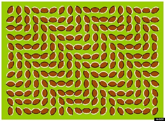 optical illusions