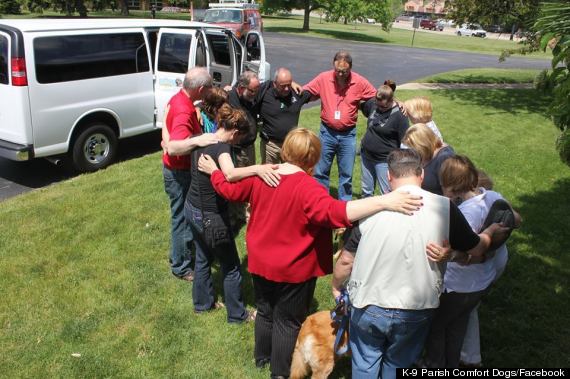 therapy dogs oklahoma comfort dogs