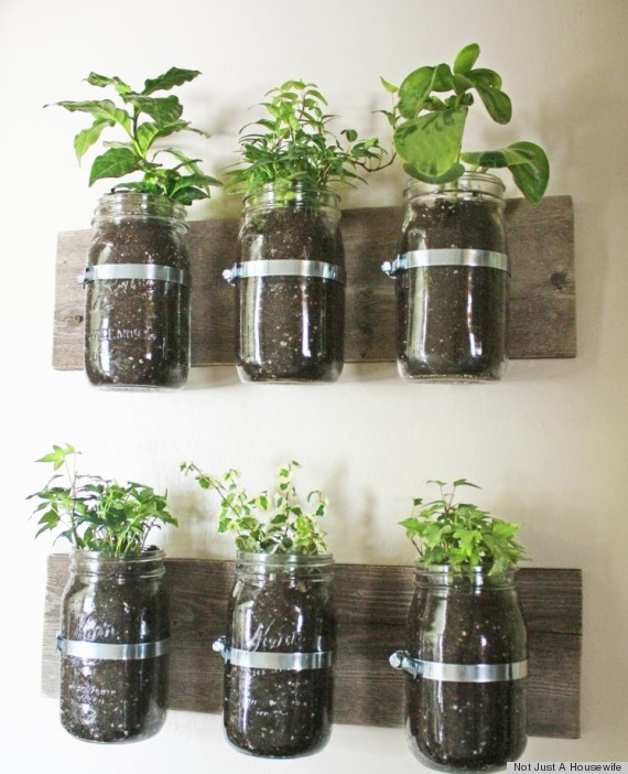 planter ideas