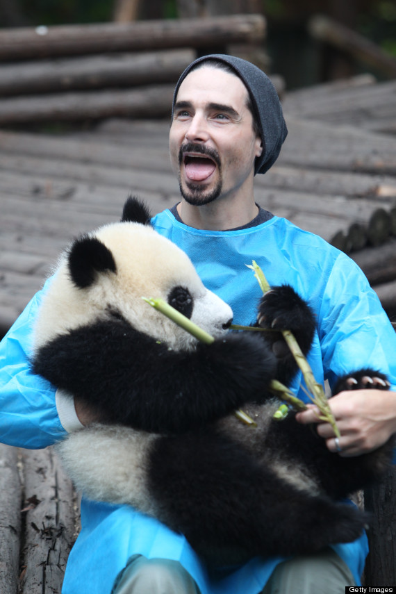Backstreet Boys Hold Pandas, Feed Them And Make Our Hearts Melt (PHOTOS ...