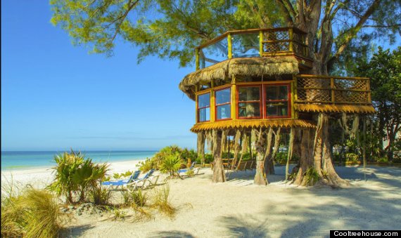 florida treehouse beach