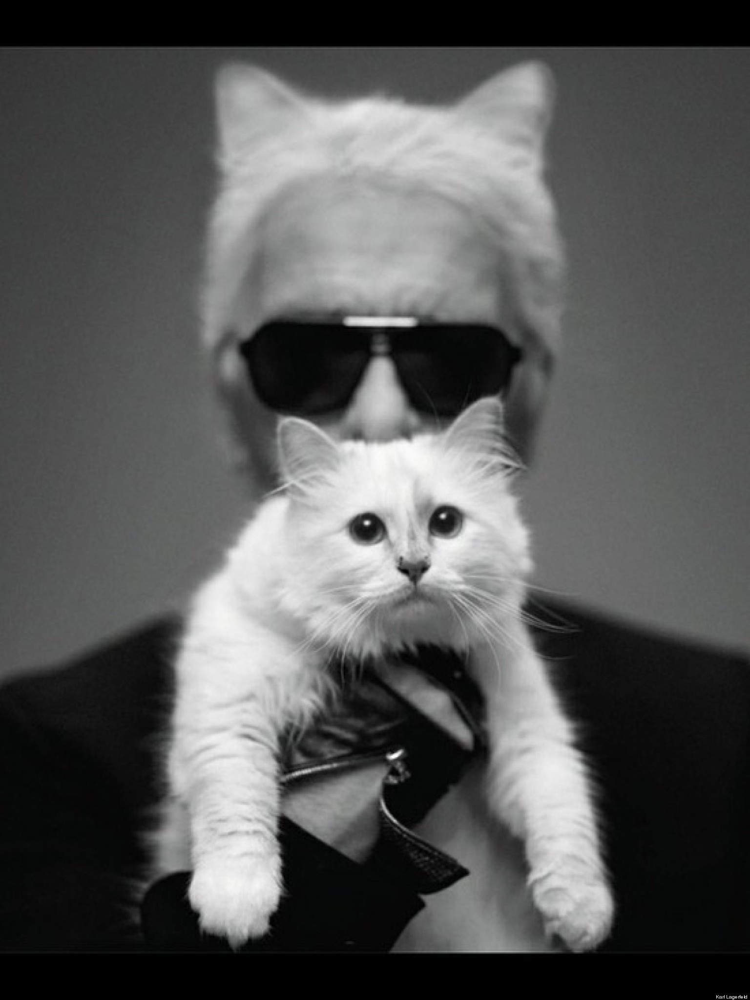 Karl Lagerfeld: 'I've Fallen In Love With Cat Choupette And Would Marry ...