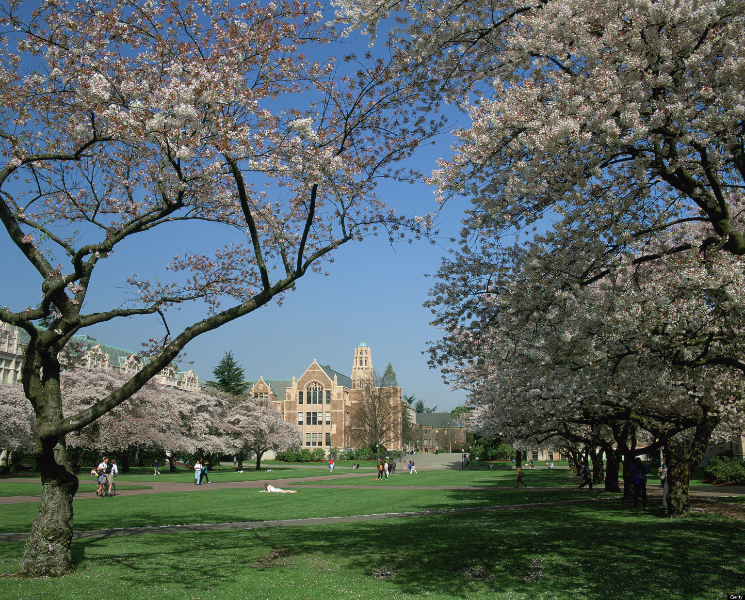 University Of Washington Diversity Course Now Required For Graduation ...