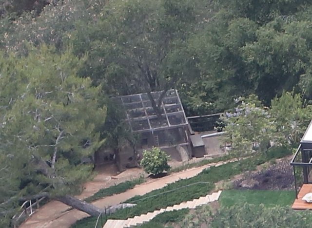 jennifer aniston chicken coop