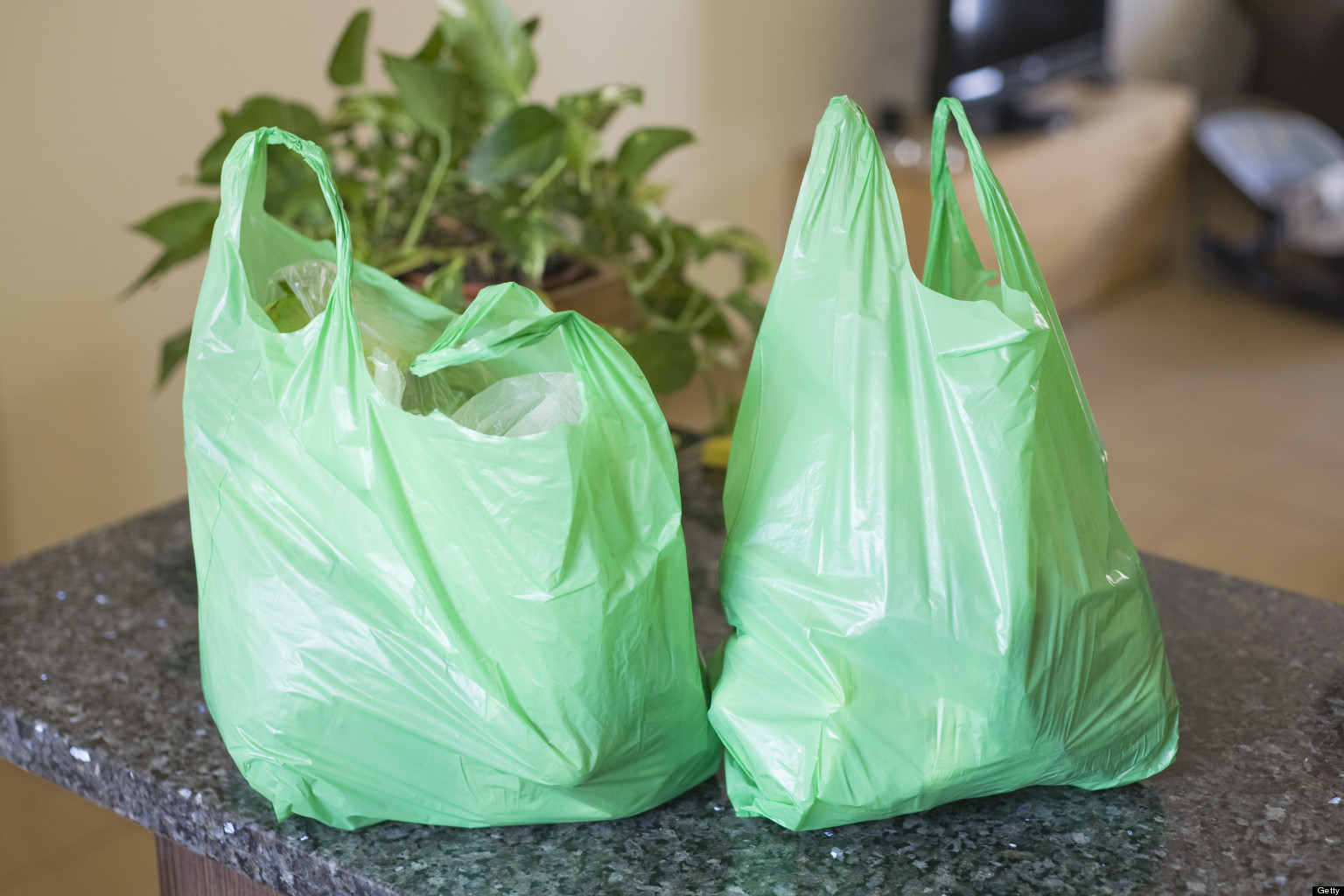 Why You Should Support the Plastic Bag Reduction Ordinance | HuffPost