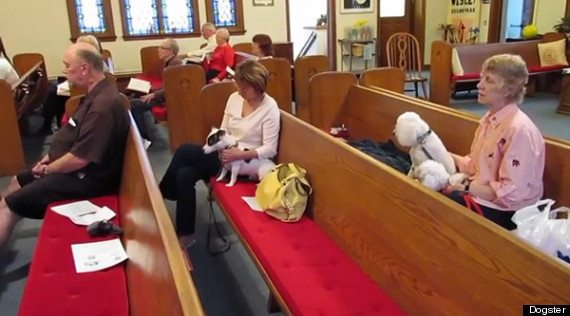 wisconsin church allows dogs