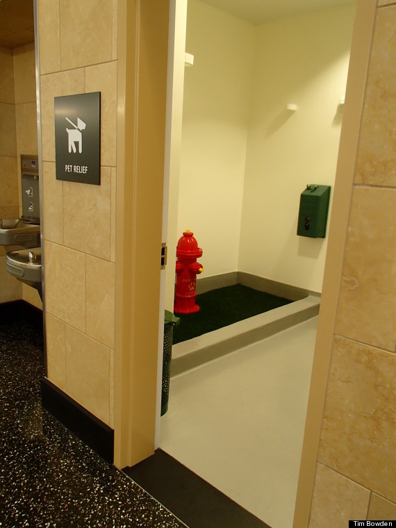 san diego airport dog bathroom