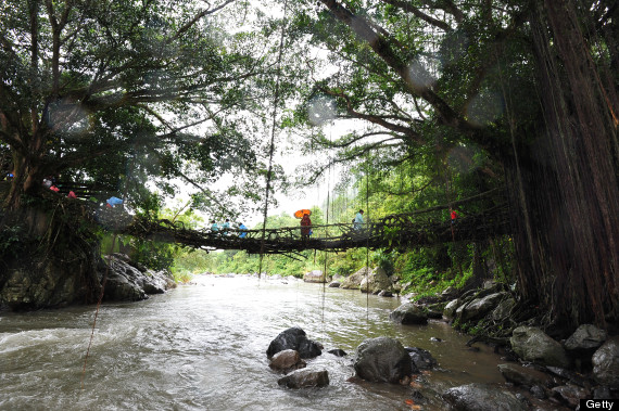 living root bridge