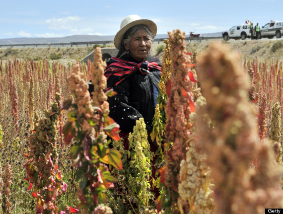 quinoa