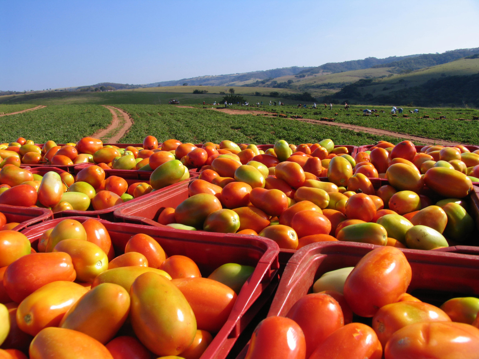 California Grows All Of Our Fruits And Vegetables. What Would We Eat ...