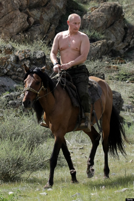 vladimir putin horse