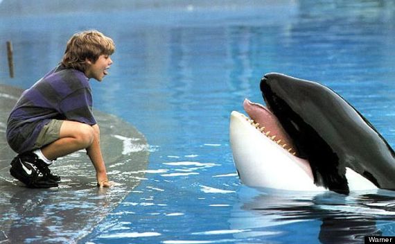 free willy