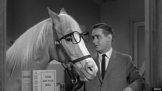 mr ed