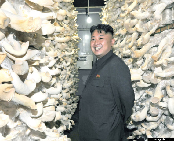 kim jong un mushroom farm