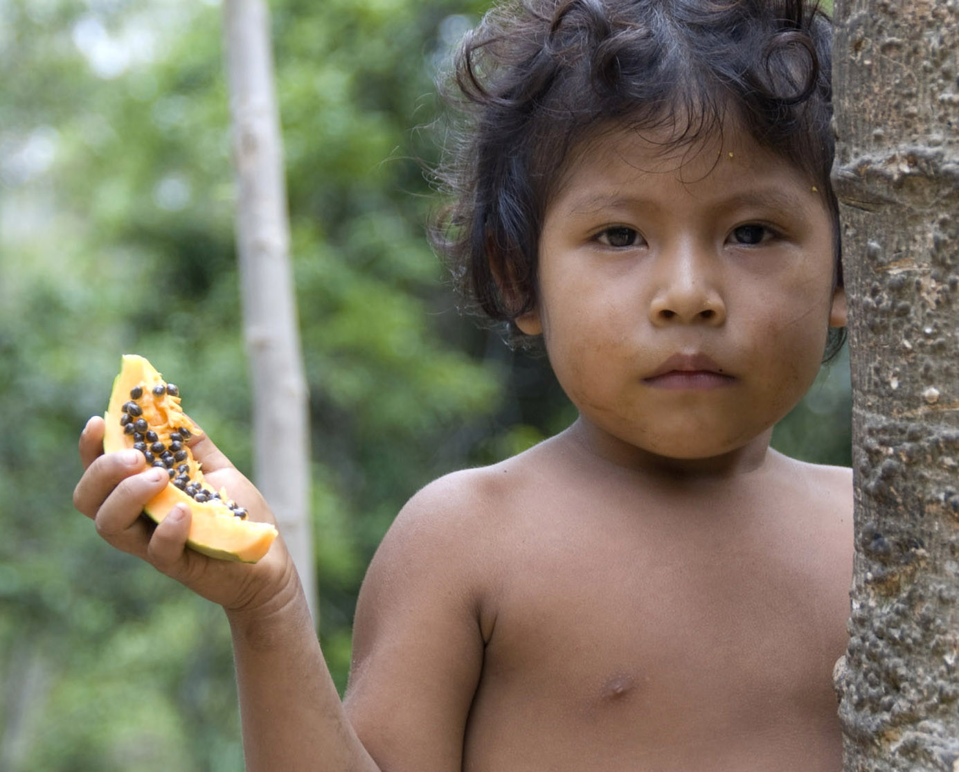 Brazil S Army Moves To Protect Indigenous Awá Tribe By