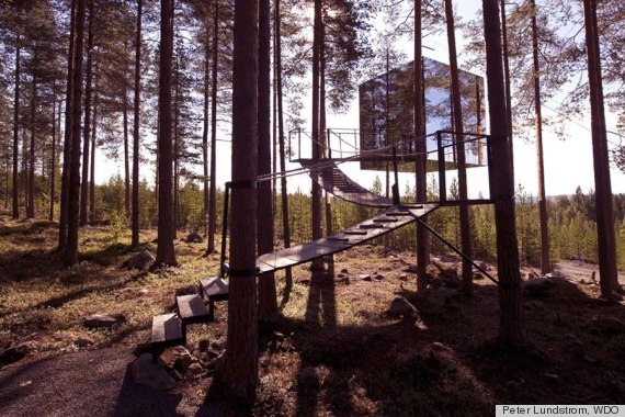 tree houses