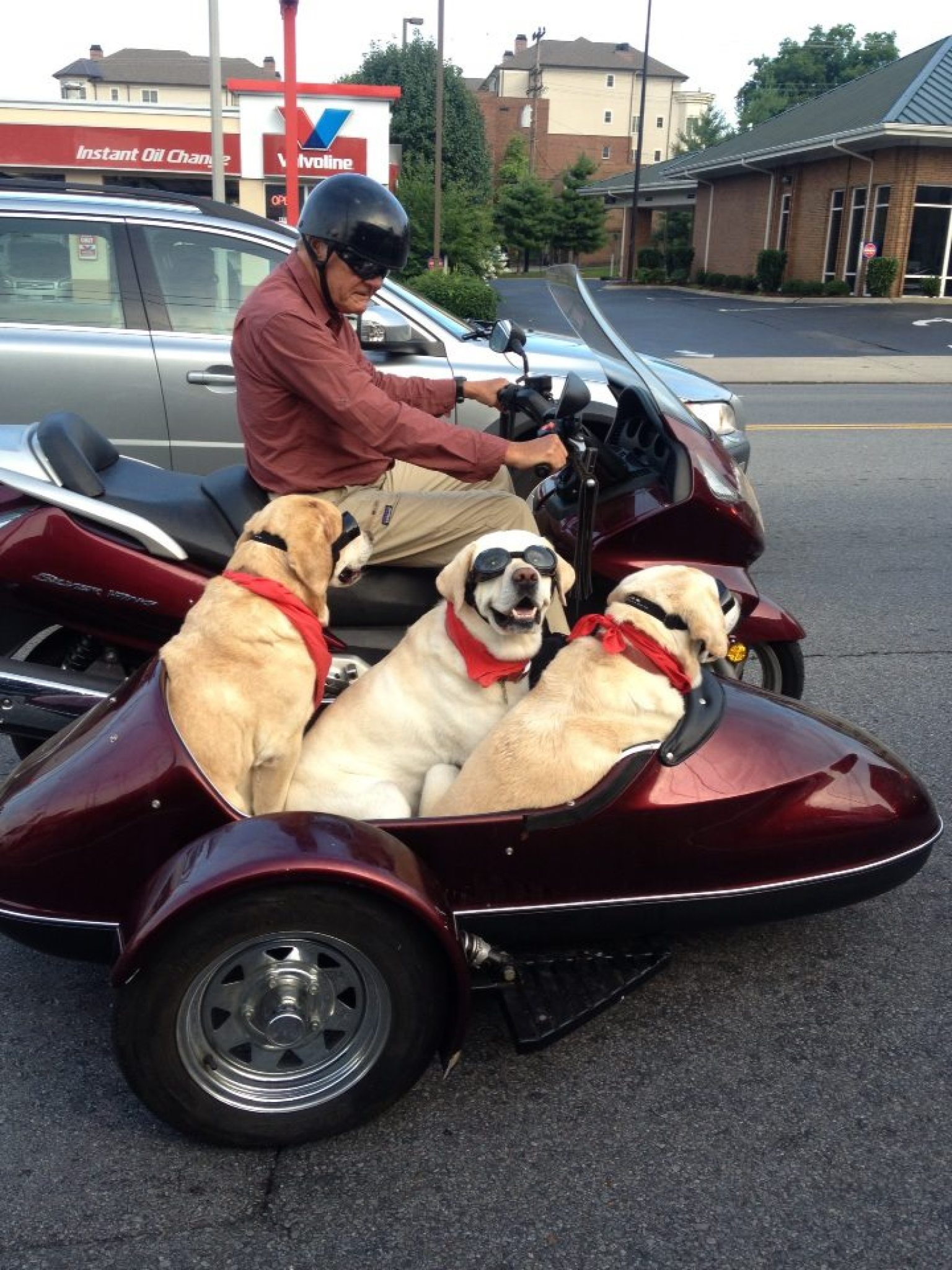 Sidecars- Lets see em. | Page 298 | Adventure Rider
