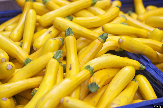 yellow summer squash