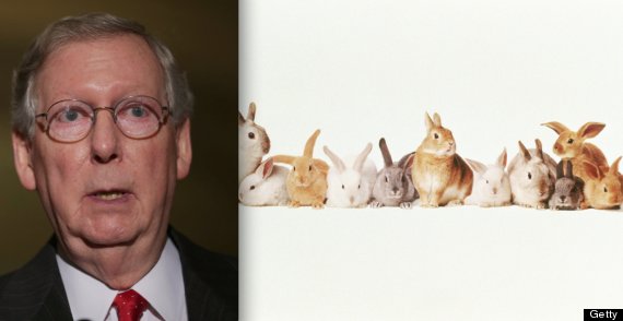 mitch mcconnell