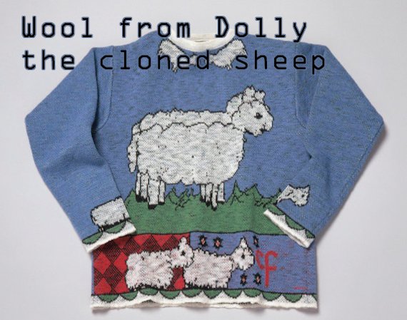 dolly the sheep