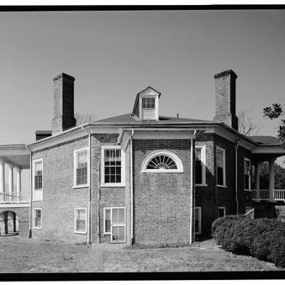 poplar forest