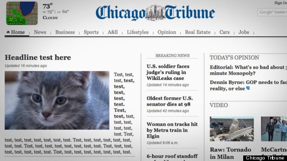 chicago tribune website kitten