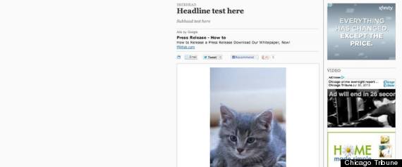 chicago tribune kitten story