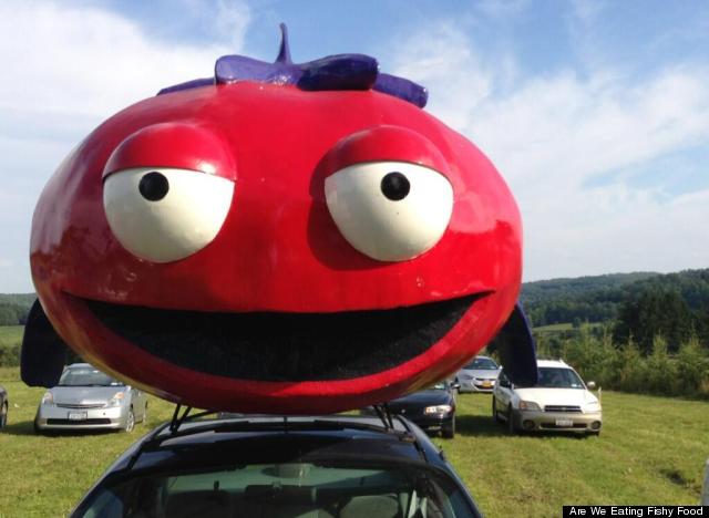 fish tomato car