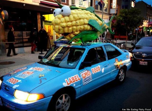 fish corn car