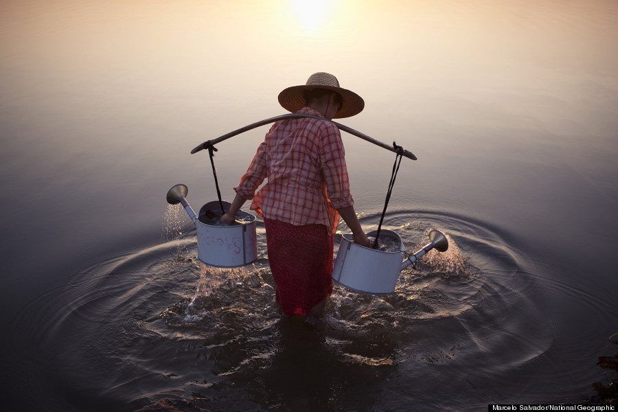 lady in water