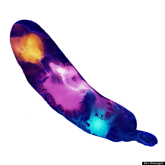 andy warhol banana