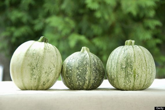 round squash