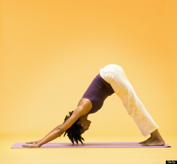 downward facing dog - yoga pose dan gerakan yoga