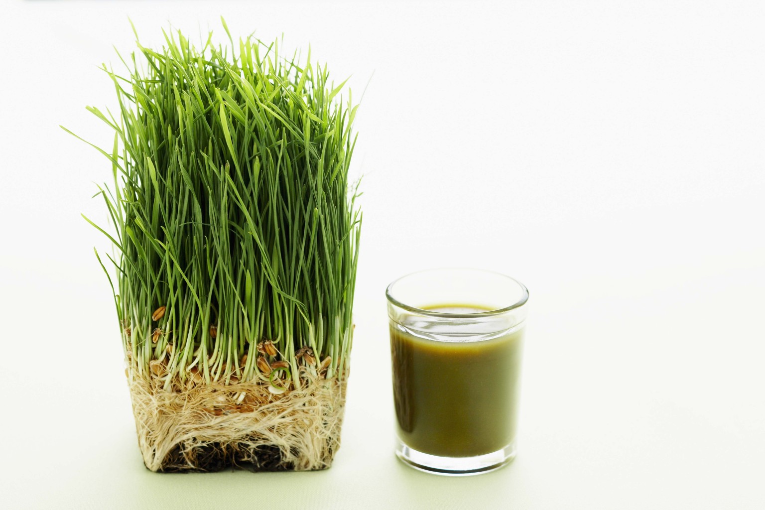 Get High on Green Powder - Wheatgrass! | HuffPost UK