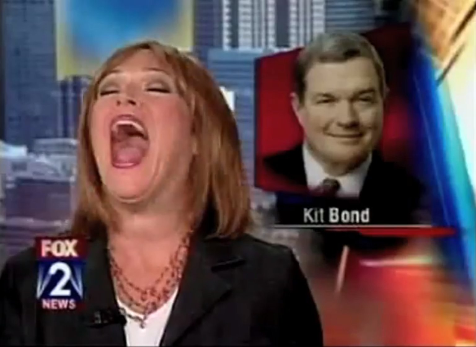 Fox News Bloopers Bra