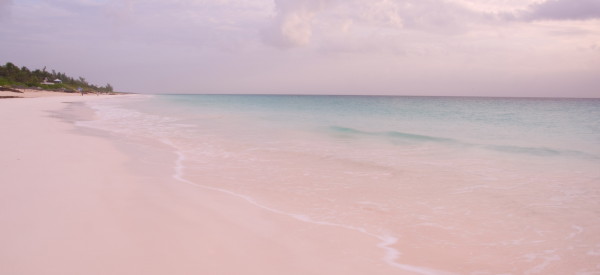 pink sands beach bahamas