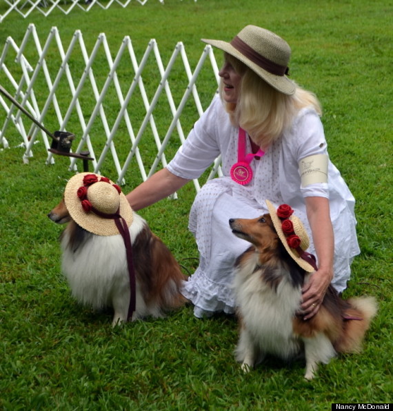 This Collie Festival Is The Happiest Place On Earth For LassieLovers