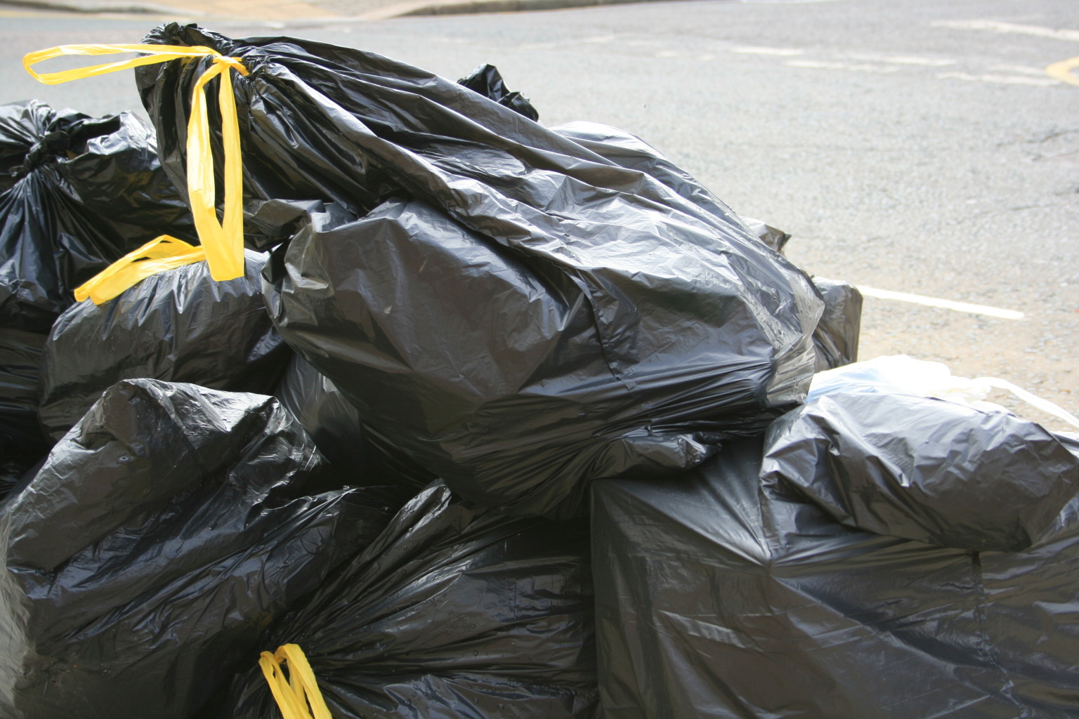 Bin Bag Full Of Cash Left On Doorstep In North Yorkshire