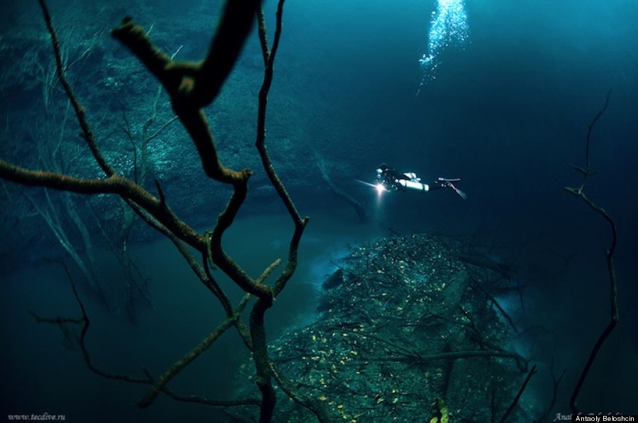 Underwater River Is A Scuba Divers Dream Cenote Angelita Mexico