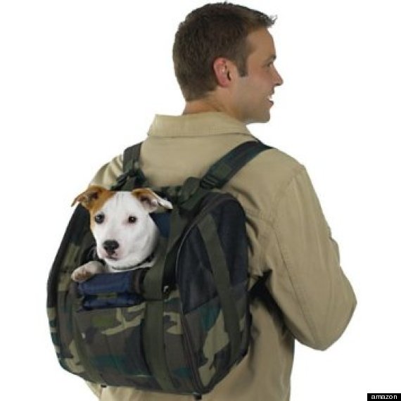 dogcarrier