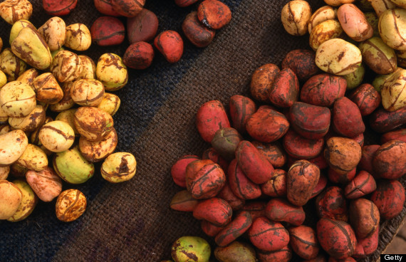 kola nuts